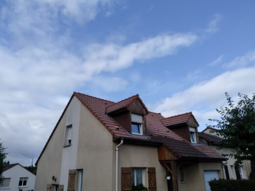 Nettoyage de toiture et démoussage